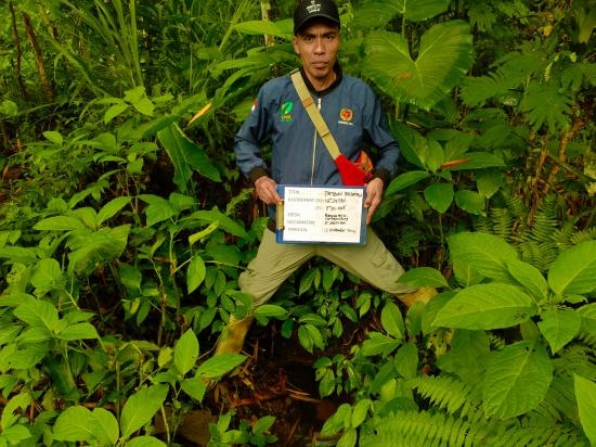 3WhatsApp Image 2024-11-25 at 06.32.59 (1).jpeg